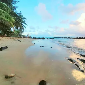 https://family-home-beaches-playa-restaurants-san-juan-pr.greaterantilleshotels.net